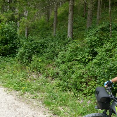 003 angeführt von Peter